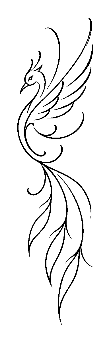 Minimalist fine line tattoo design of an ascending phoenix with sweeping wings and long flowing tail feathers.
