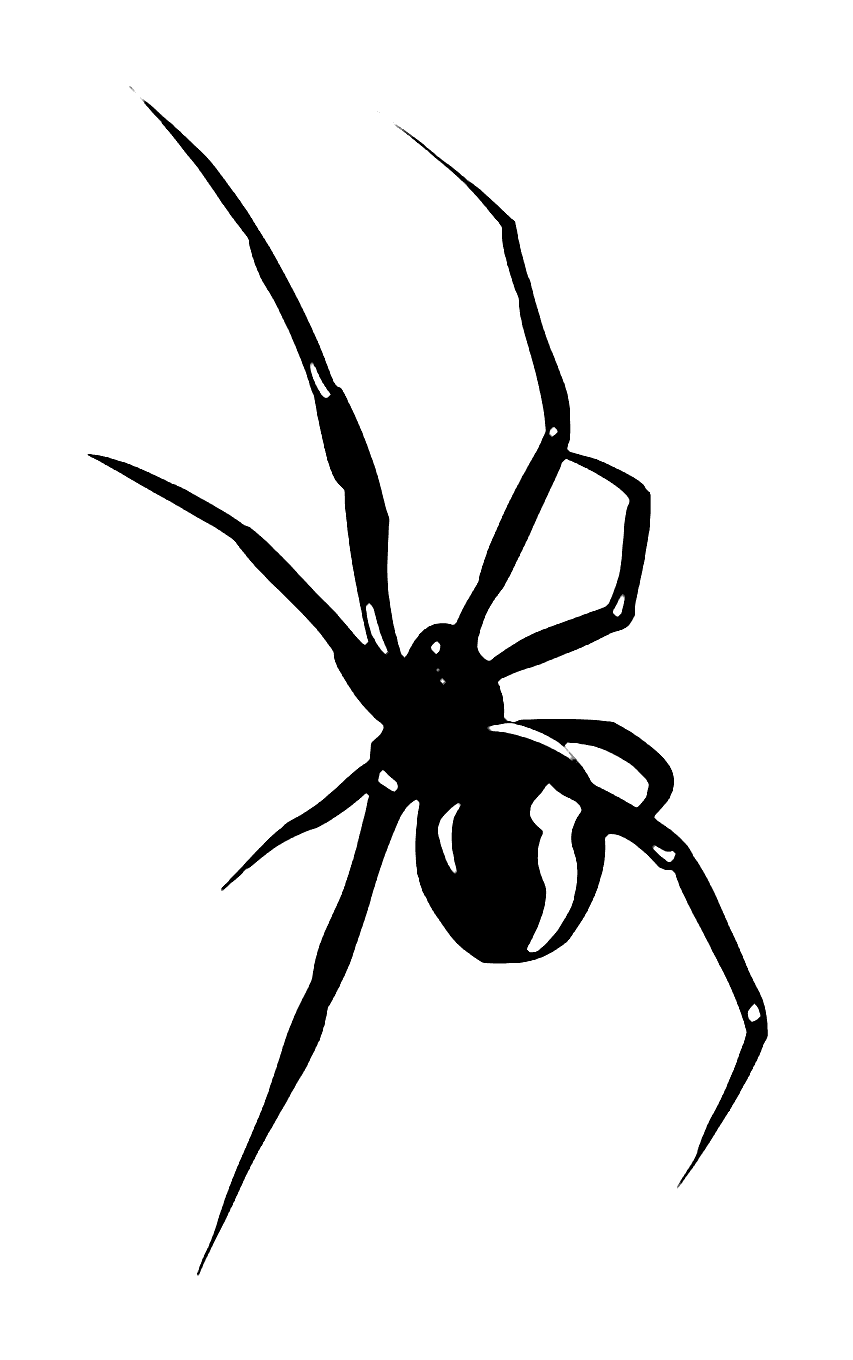 High-contrast blackwork tattoo design of a venomous black widow spider crawling with splayed sharp legs.