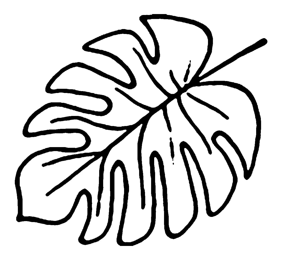 Minimalist black outline of a Monstera deliciosa tropical leaf.