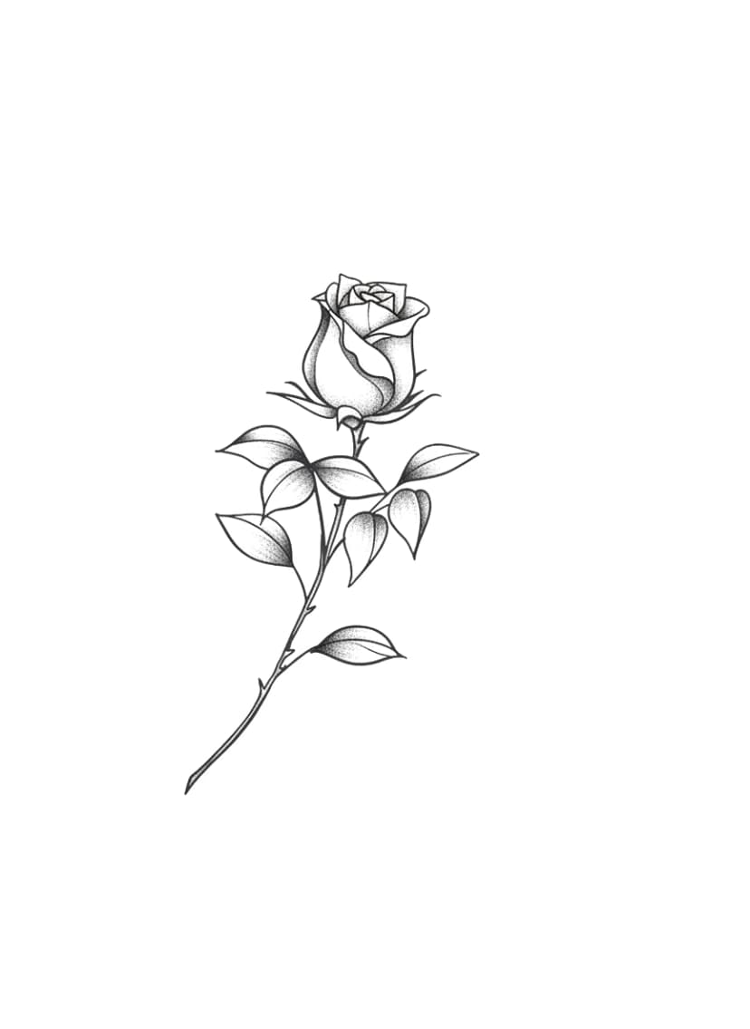 Fine line tattoo of a single rose bud on a thorny stem with delicate stippled shading.