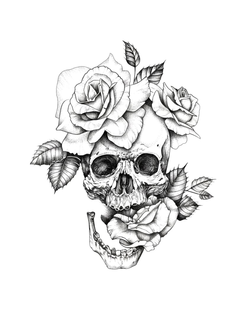 Stippled blackwork tattoo design of a human skull with blooming roses.