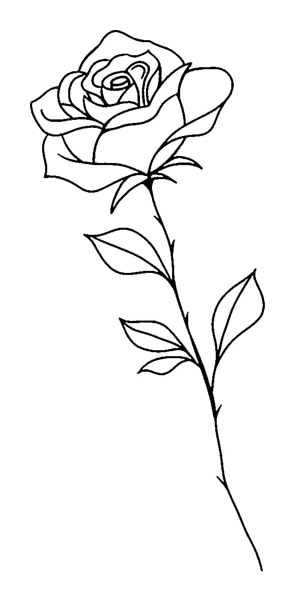 Minimalist black outline of a single stem rose with thorns and leaves.