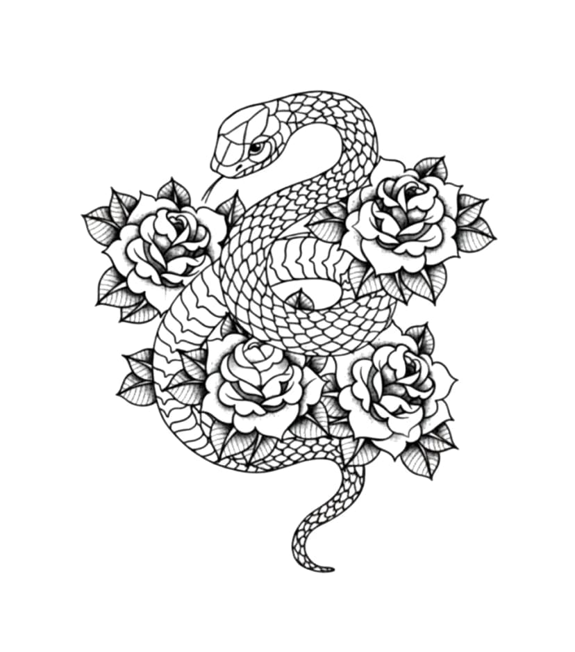 Black and grey illustrative tattoo design of a coiled snake surrounded by four blooming roses.