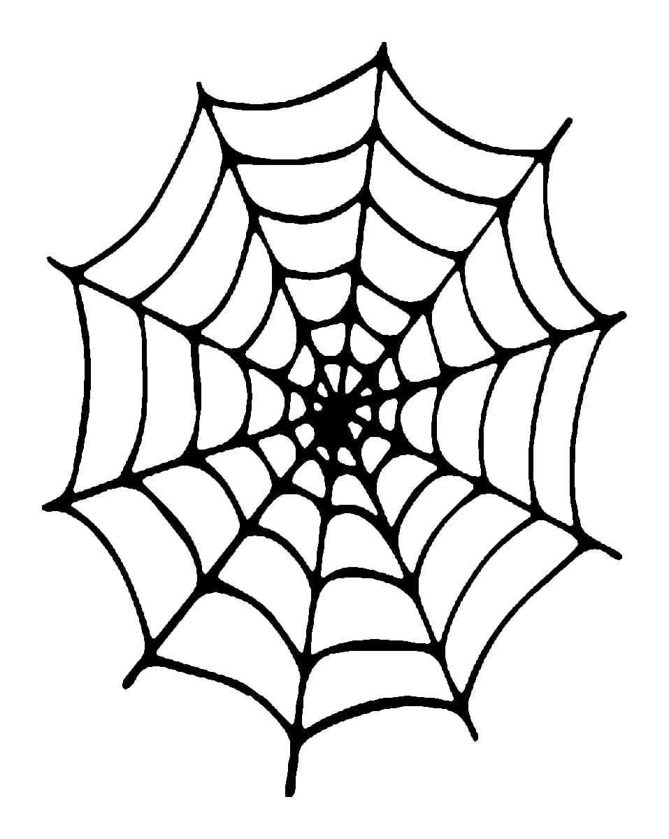 Classic bold black ink spiderweb tattoo design with hand-drawn concentric lines.